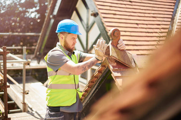 Roof Gutter Cleaning in Midway, GA