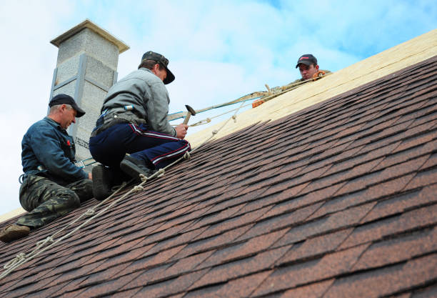 Best Storm Damage Roof Repair  in Midway, GA